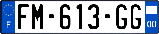 FM-613-GG