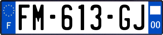 FM-613-GJ