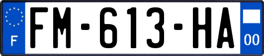 FM-613-HA