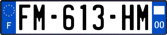 FM-613-HM