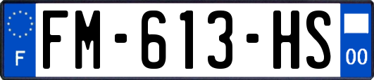 FM-613-HS