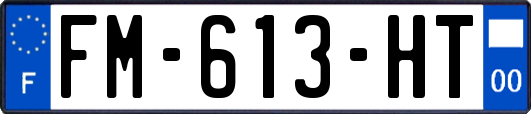 FM-613-HT