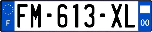 FM-613-XL