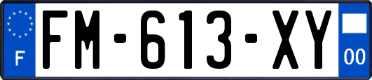 FM-613-XY