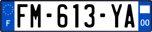 FM-613-YA