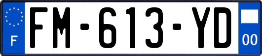 FM-613-YD
