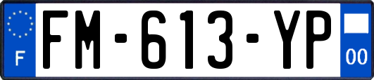 FM-613-YP