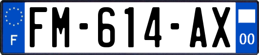 FM-614-AX