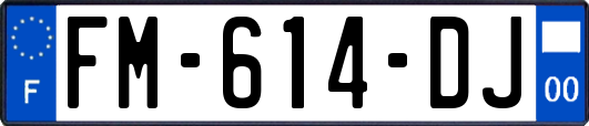 FM-614-DJ