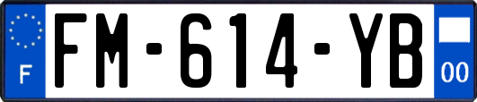 FM-614-YB