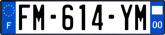 FM-614-YM