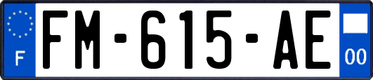 FM-615-AE
