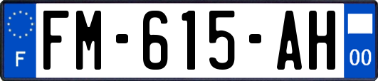 FM-615-AH