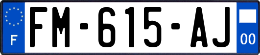 FM-615-AJ