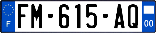 FM-615-AQ