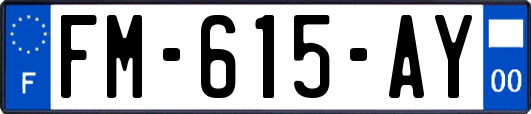 FM-615-AY