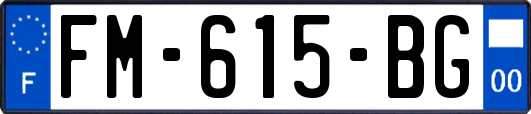 FM-615-BG