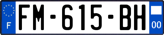 FM-615-BH