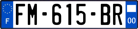 FM-615-BR