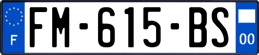 FM-615-BS