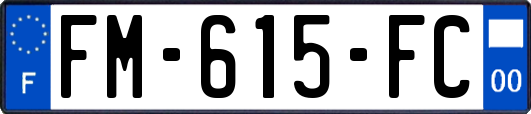 FM-615-FC