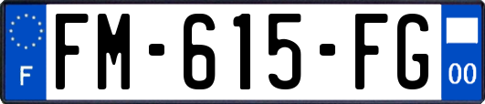 FM-615-FG