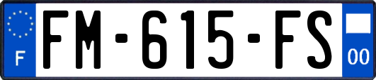 FM-615-FS