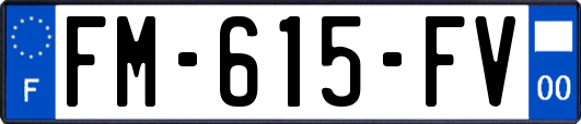 FM-615-FV
