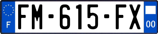 FM-615-FX