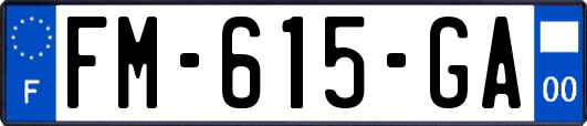 FM-615-GA