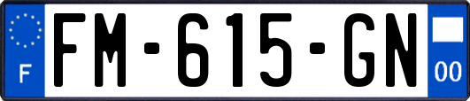 FM-615-GN