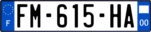 FM-615-HA