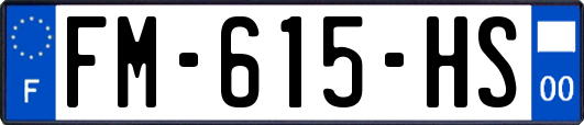 FM-615-HS