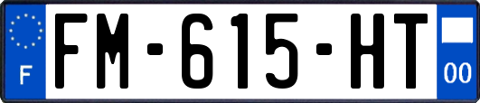 FM-615-HT