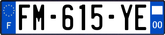 FM-615-YE