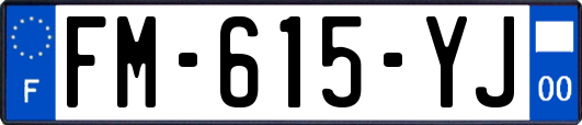 FM-615-YJ