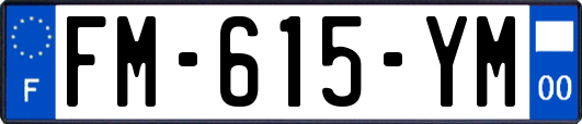 FM-615-YM