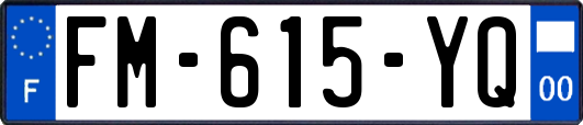FM-615-YQ