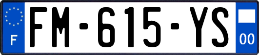FM-615-YS