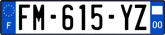 FM-615-YZ