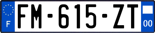FM-615-ZT