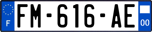 FM-616-AE