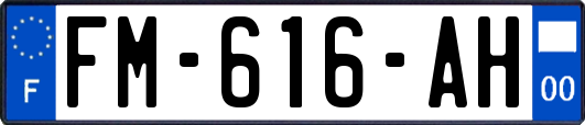 FM-616-AH