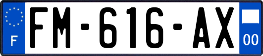 FM-616-AX
