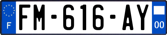 FM-616-AY
