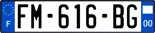 FM-616-BG