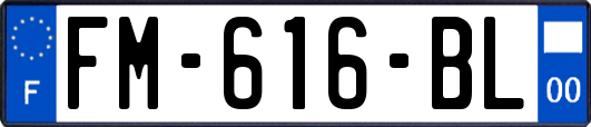 FM-616-BL