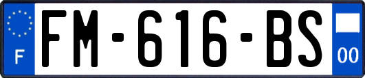 FM-616-BS