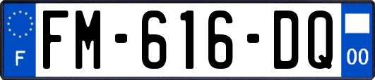 FM-616-DQ