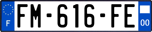 FM-616-FE